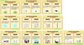 企业管理图片信息咨询服务 可视化战略助力企业高效决策